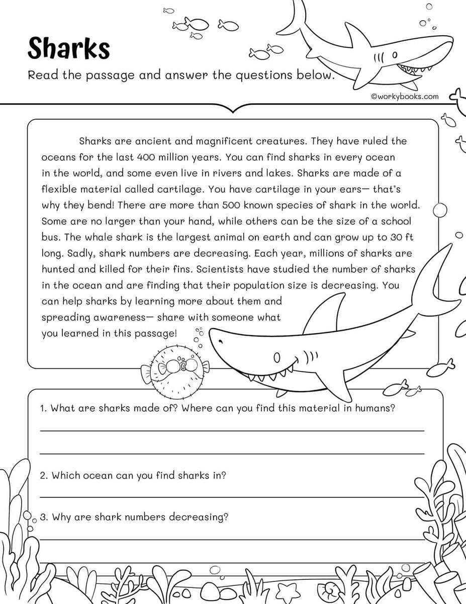 10 Free 3rd Grade Reading Fluency Passages Workybooks Page 4 Free Printable 3rd Grade Reading Worksheet Templates Canva
