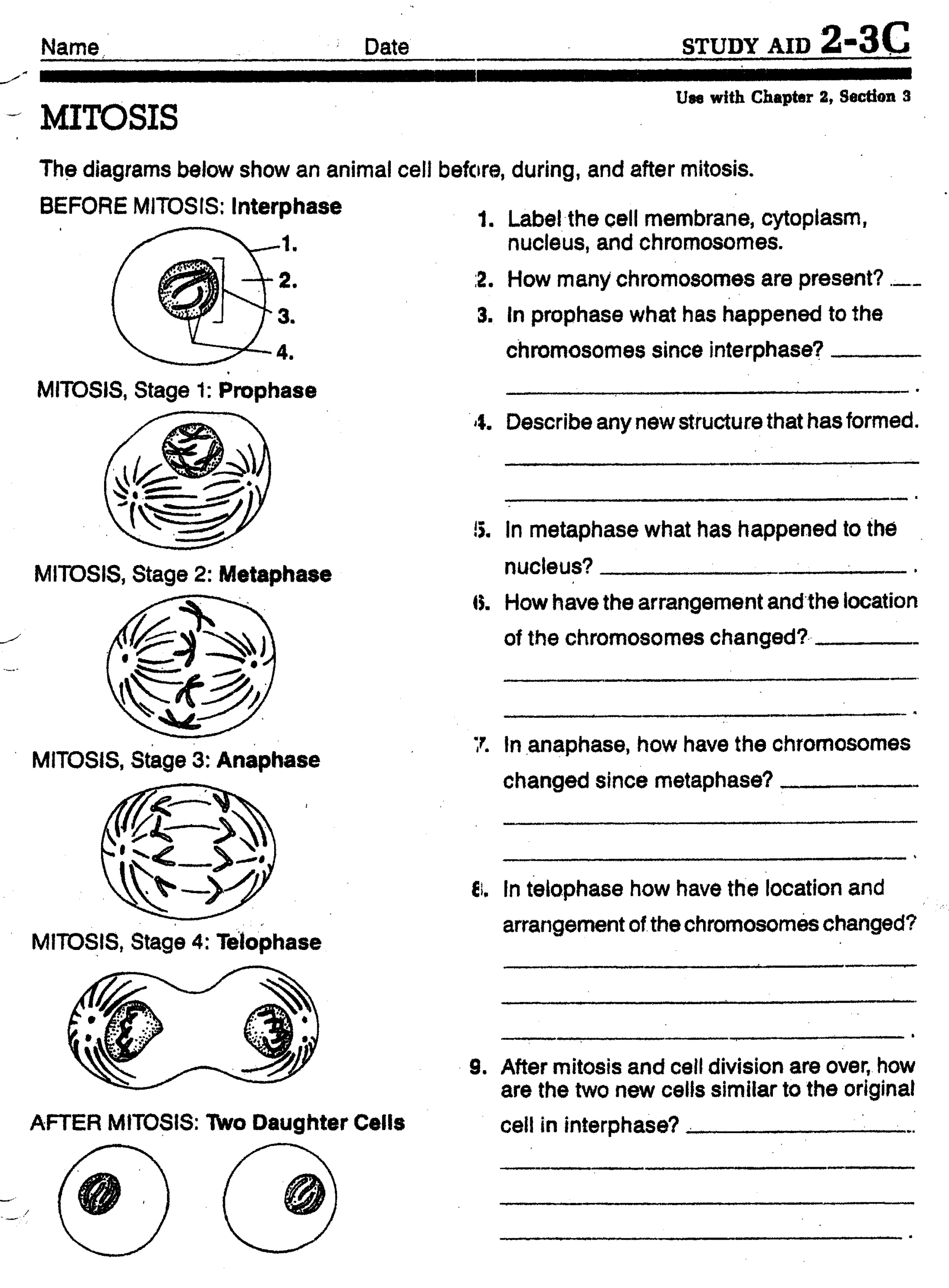 31 Mitosis Meiosis Ideas Mitosis Meiosis Biology Lessons