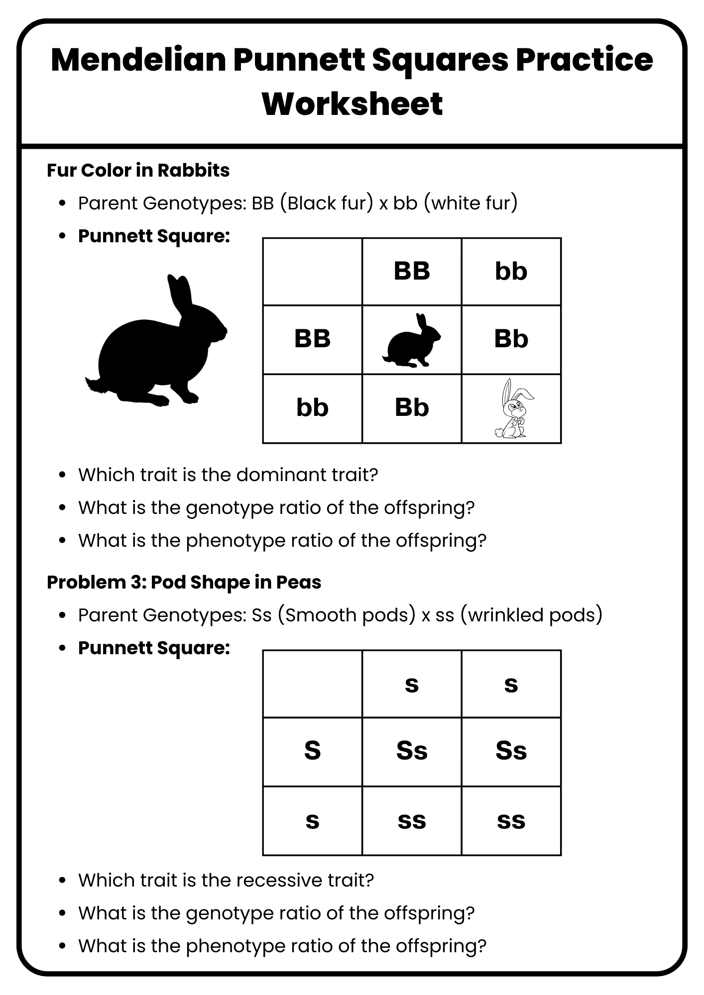 Printable 10th Grade Punnett Square Practice Worksheets