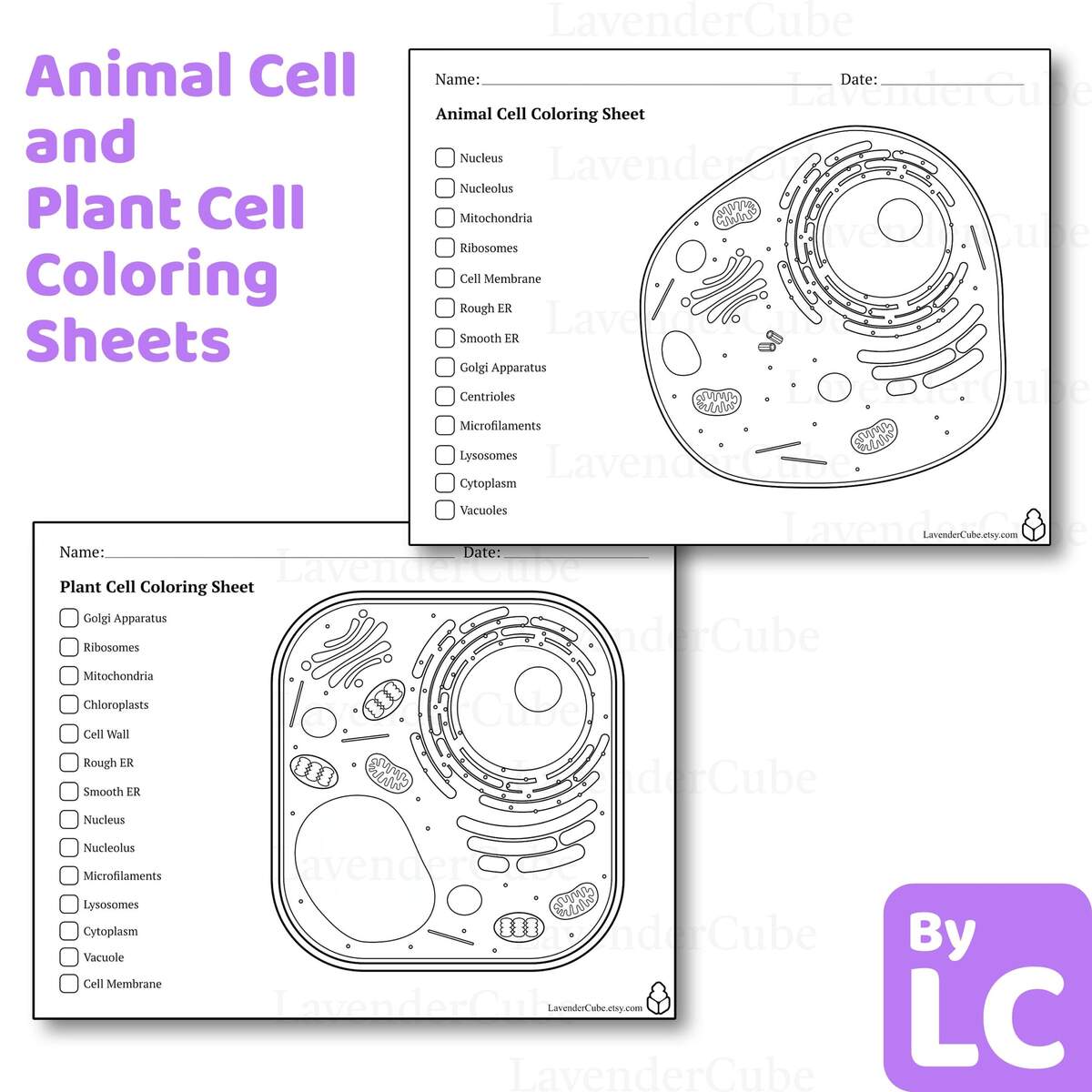 Animal And Plant Cell Coloring Worksheets Digital Download 300 DPI Png Etsy Israel