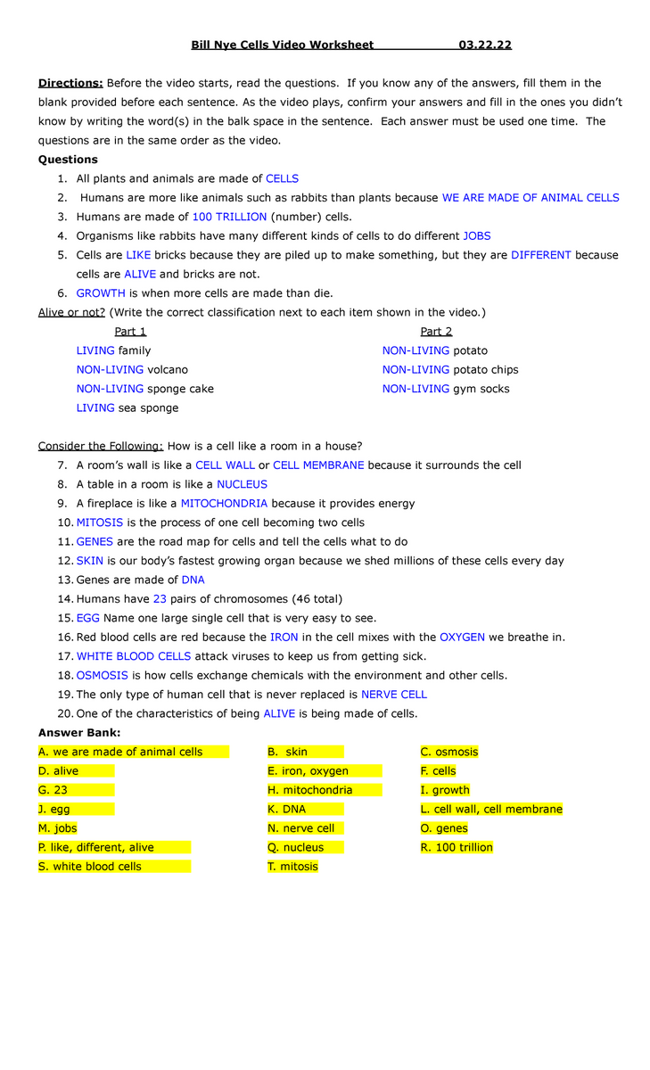 Bill Nye Cells Video Worksheet Key Questions Answers 2023 Studocu