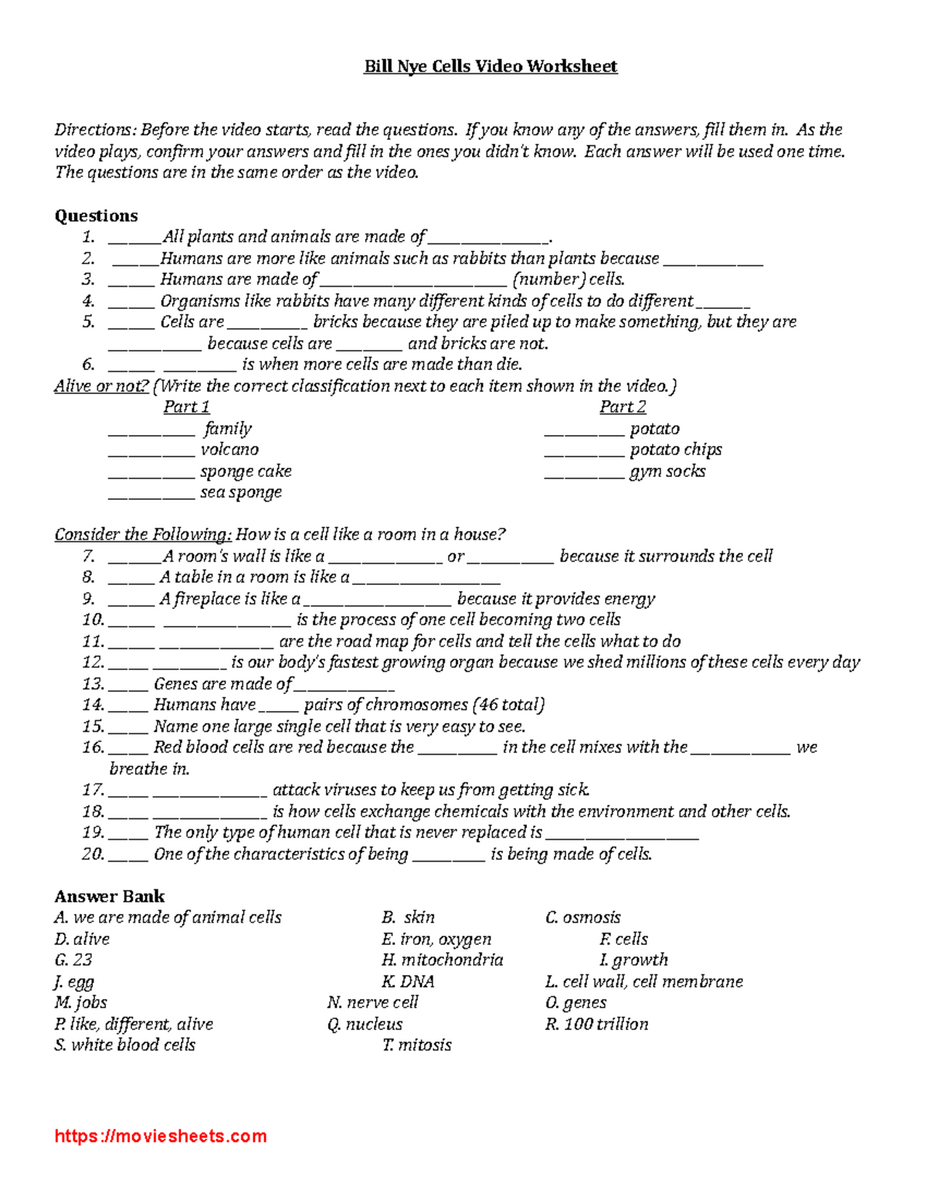 Bill Nye Cells Video Worksheet Key Questions Answers 2023 Studocu