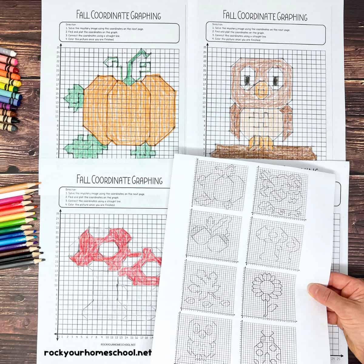 4 Free Spring Graphing Coordinate Plane Worksheets Our Family Code