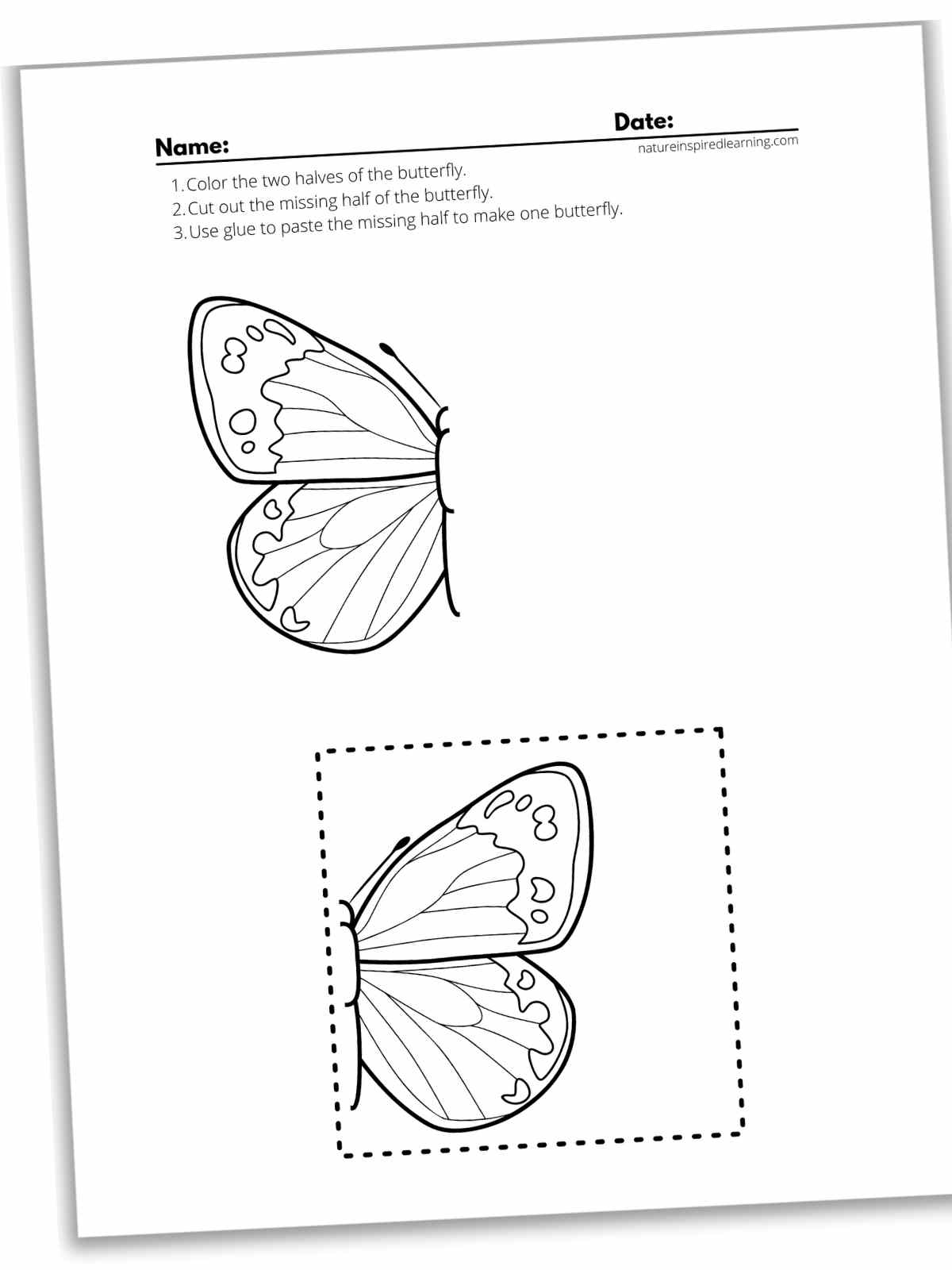 Cut And Paste Worksheets Nature Inspired Learning
