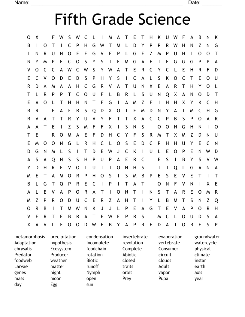 5th Grade Vocabulary Word Search WordMint