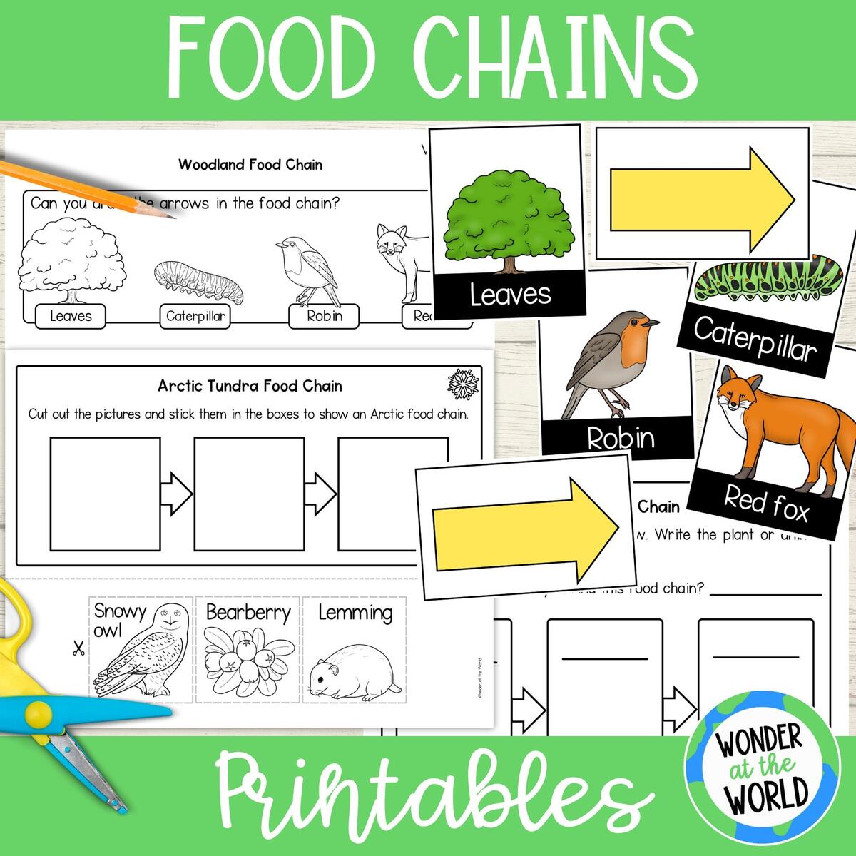 Food Chains Printable Worksheets And Clothesline Activity PDF Digital Download Woodland Pond And Arctic Habitats Science Lesson Etsy