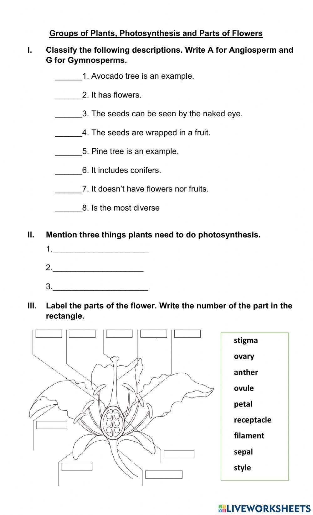 Seed Producing Plants Worksheet Worksheets Library