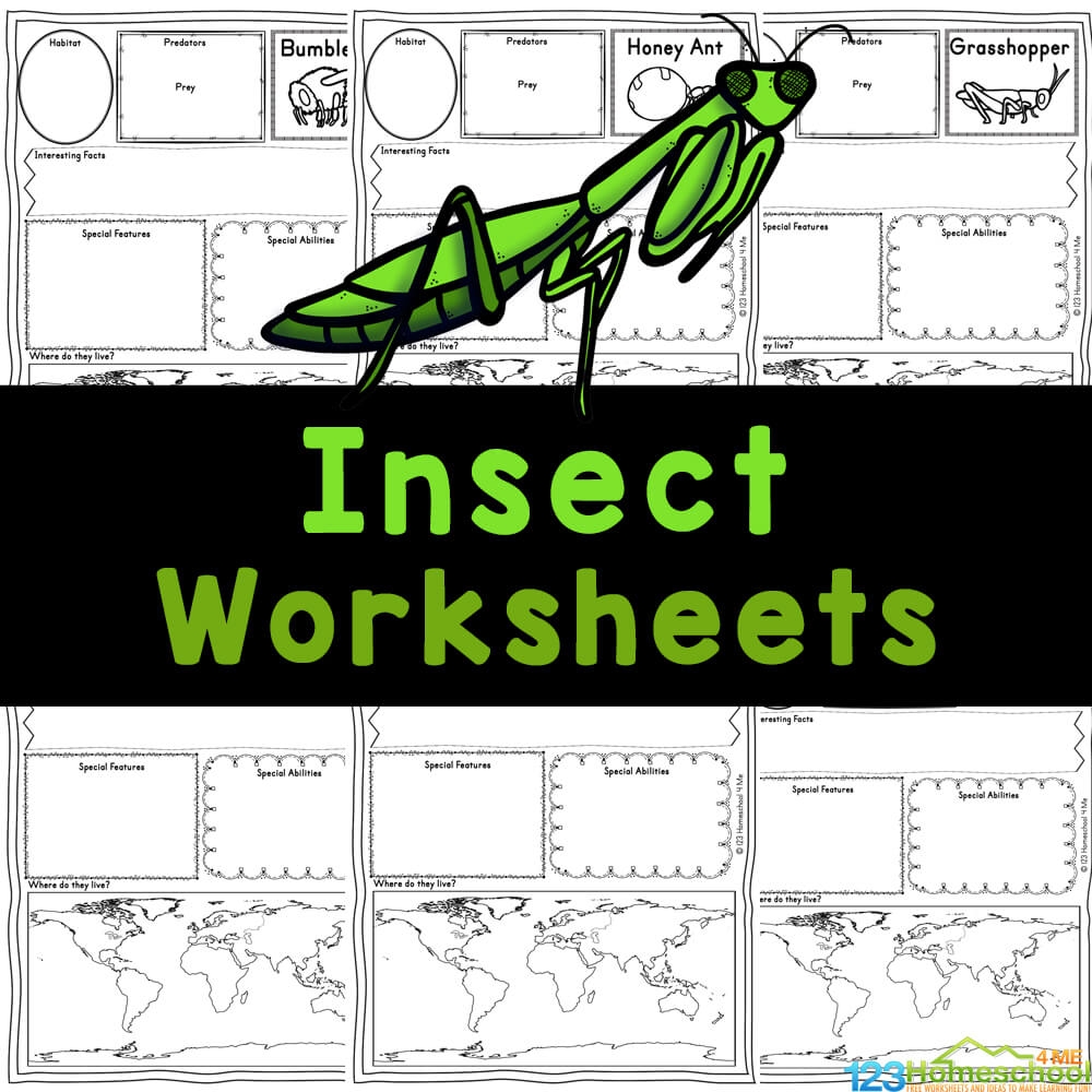 Insects Free Worksheet SKOOLGO