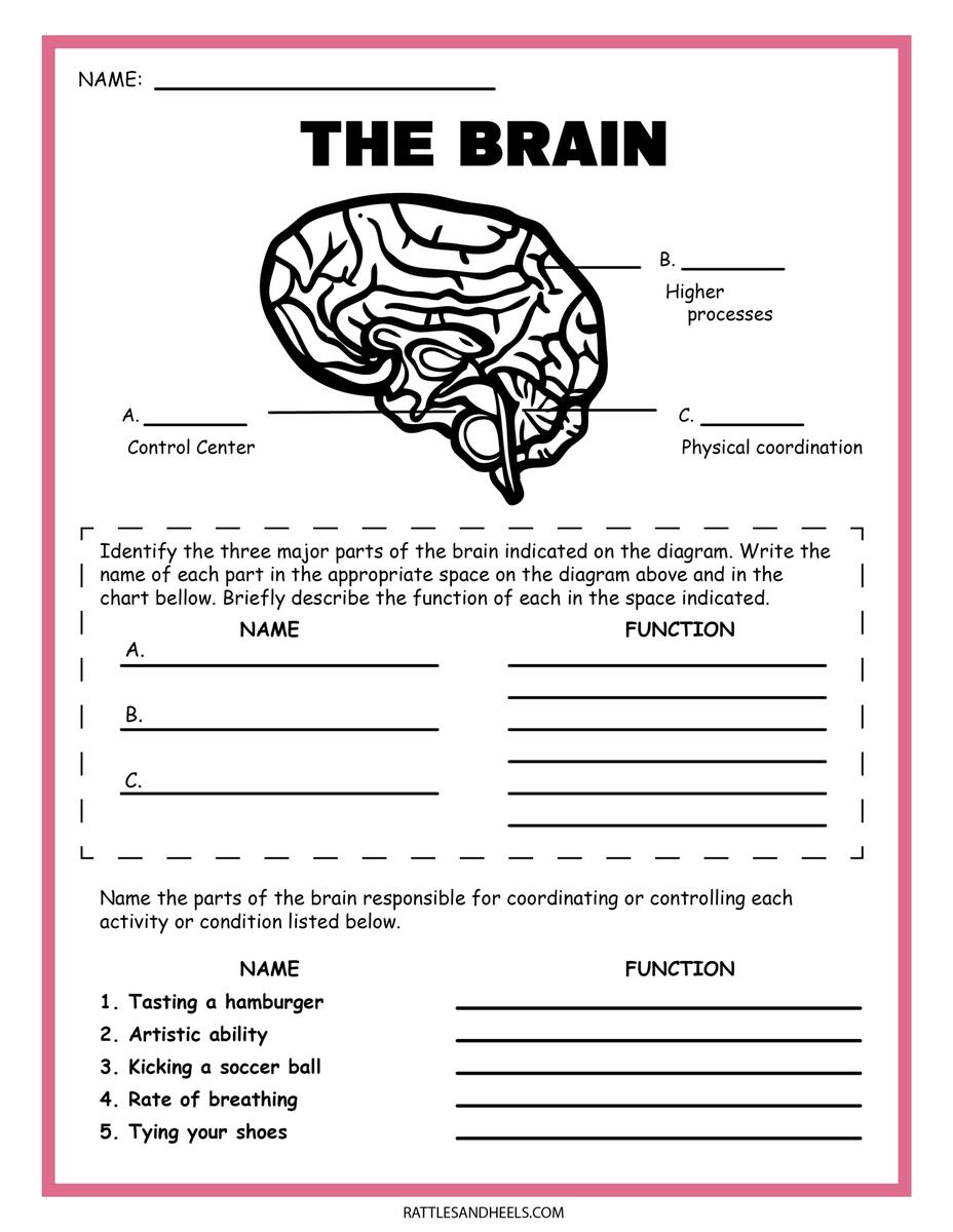 Matter Properties Worksheet For 5th Grade