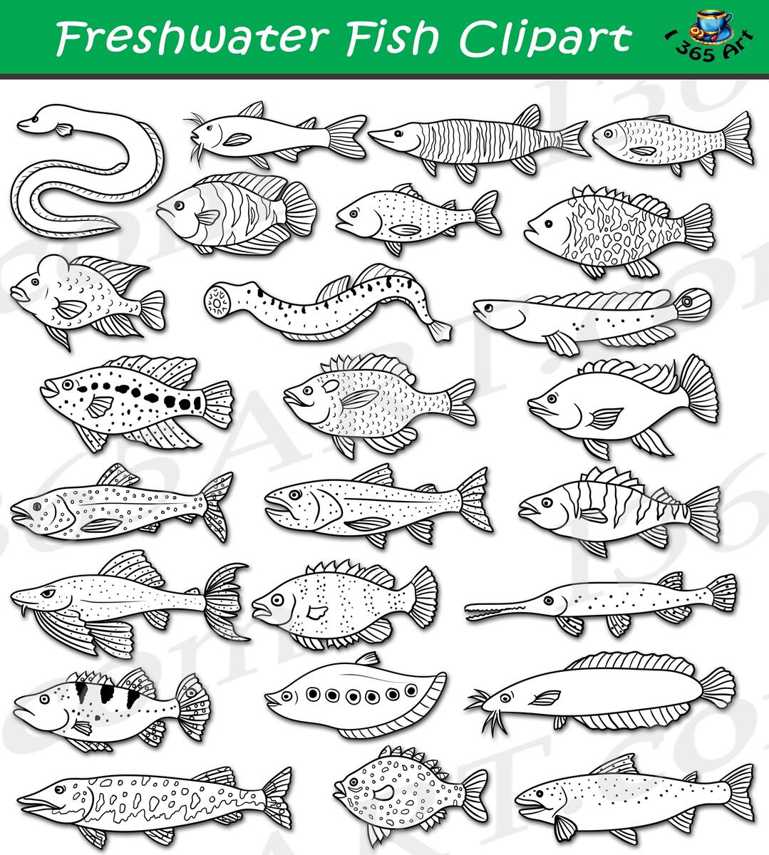 Freshwater Fish Clipart Set Download Clipart 4 School