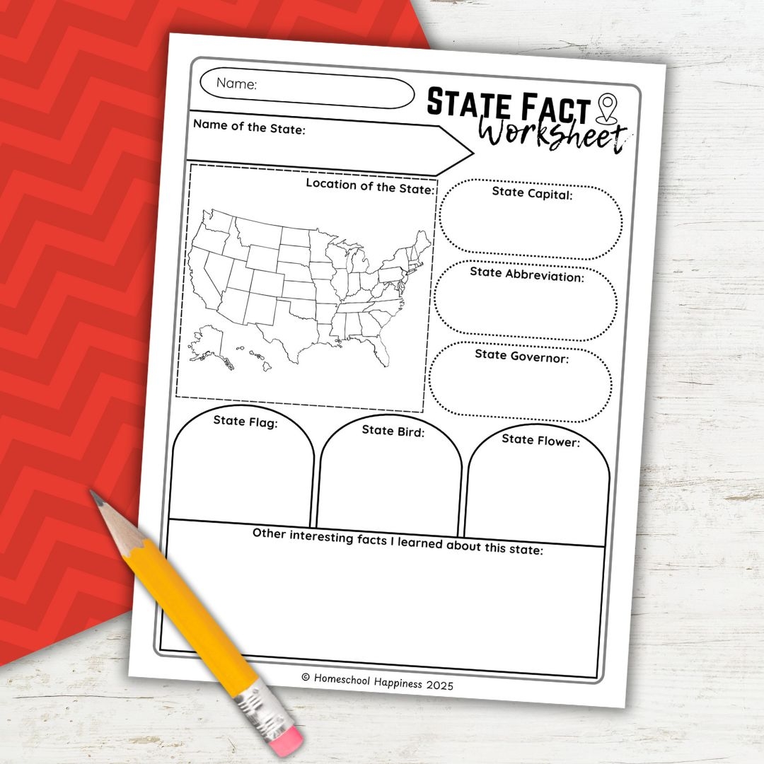 Fun Educational State Facts Worksheet For Kids
