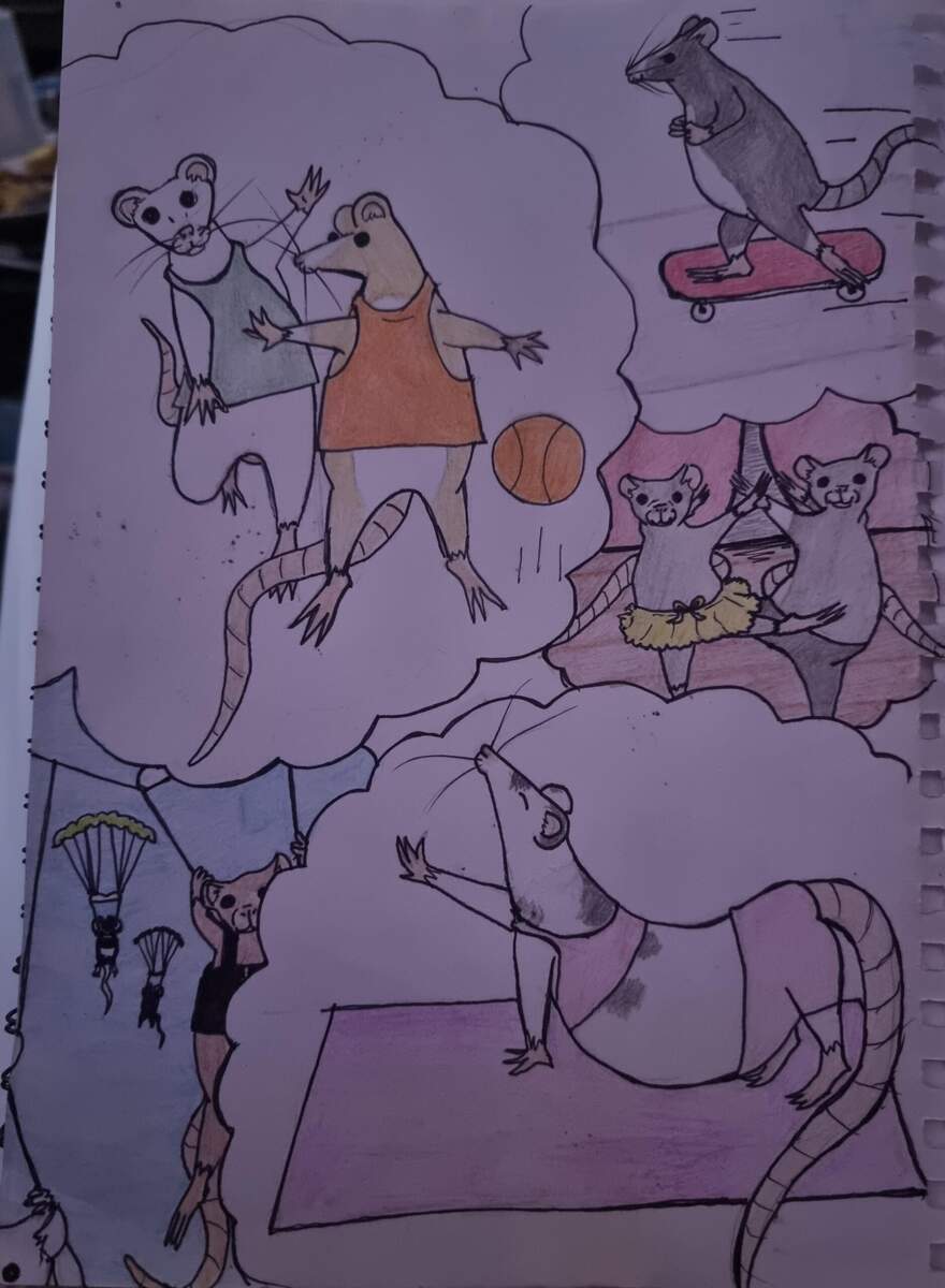 Got Bored And Drew Rattos Doing Human Activities R RATS Got Bored And Drew Rattos Doing Human Activities R RATS