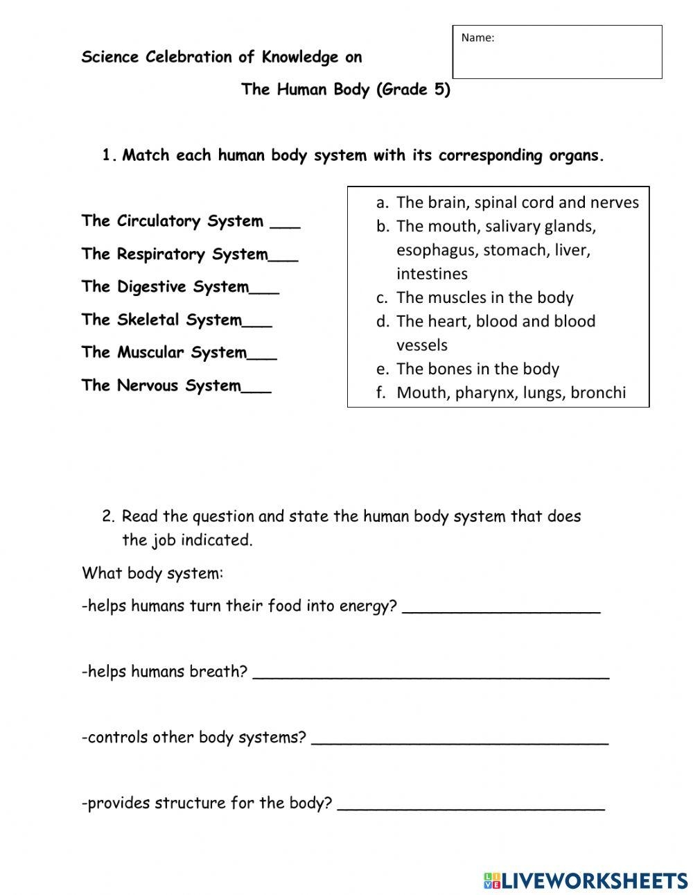 Systems In The Body E Lesson Plan Grade 5 Worksheets Library