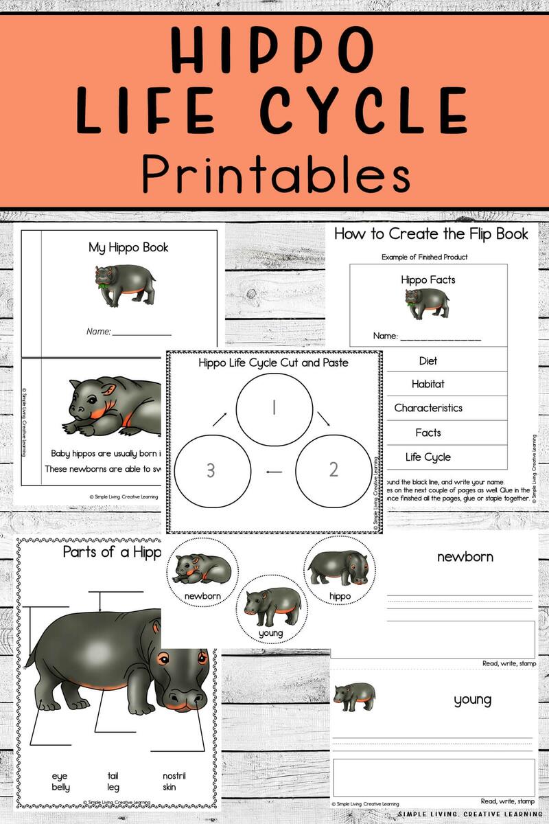 Hippo Life Cycle Printables Simple Living Creative Learning