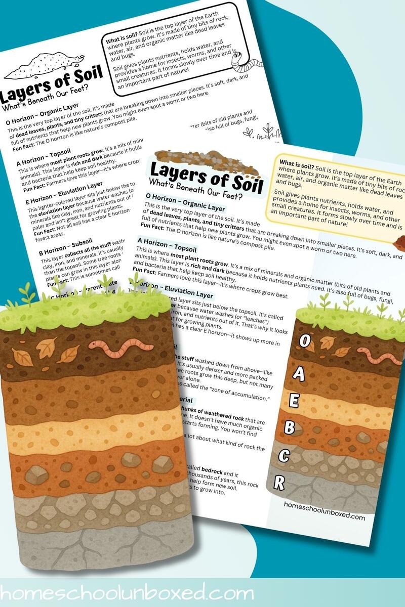 Layers Of Soil Fact Sheet Free Printable