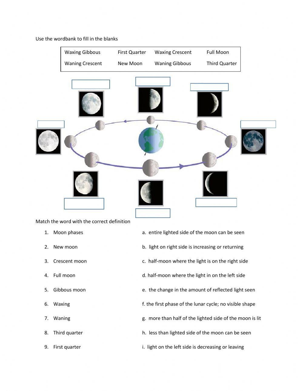 Moon Phases Online Exercise Worksheets Library