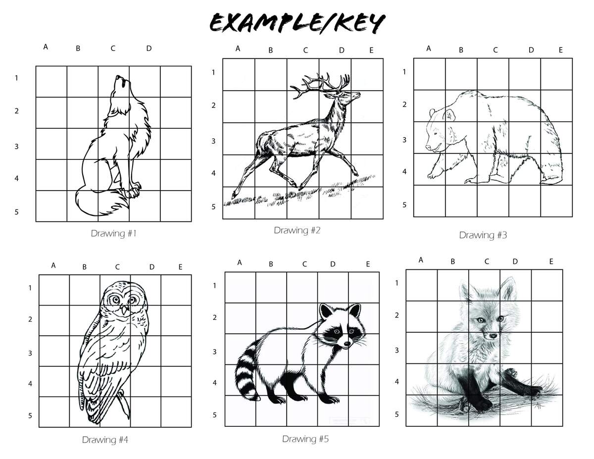 15 Printable Mystery Grid Drawing Worksheets Art Free PDF At Worksheeto