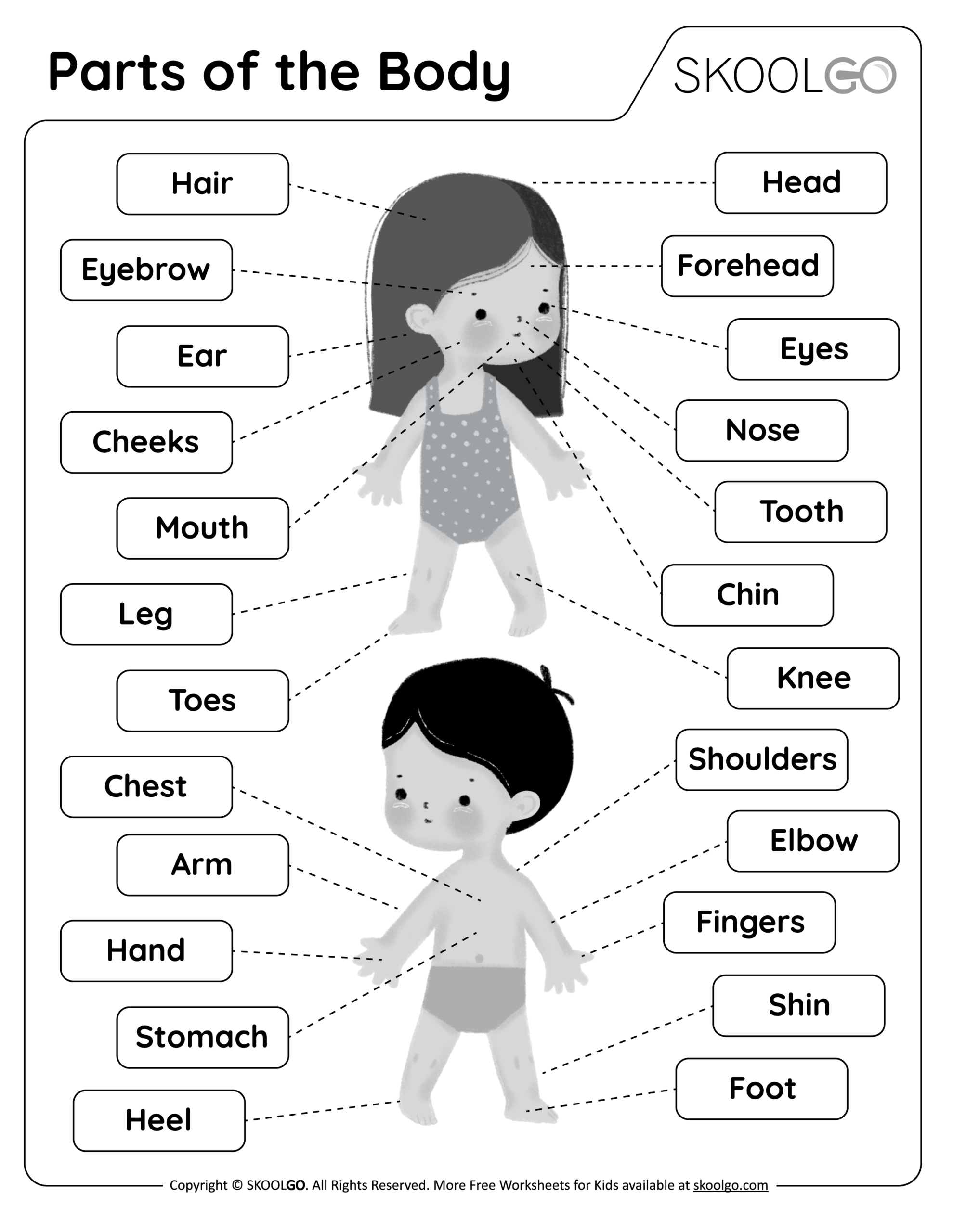 Parts Of The Body Worksheets The Teaching Aunt