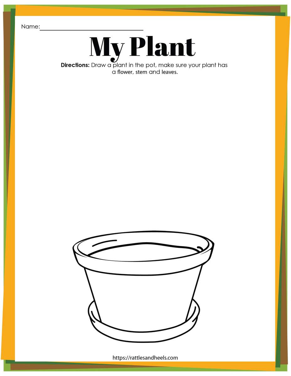 Parts Of A Plant Read And Choose Worksheet For Kindergarten Or ESL Students Free Printable PDF Download Ezpzlearn
