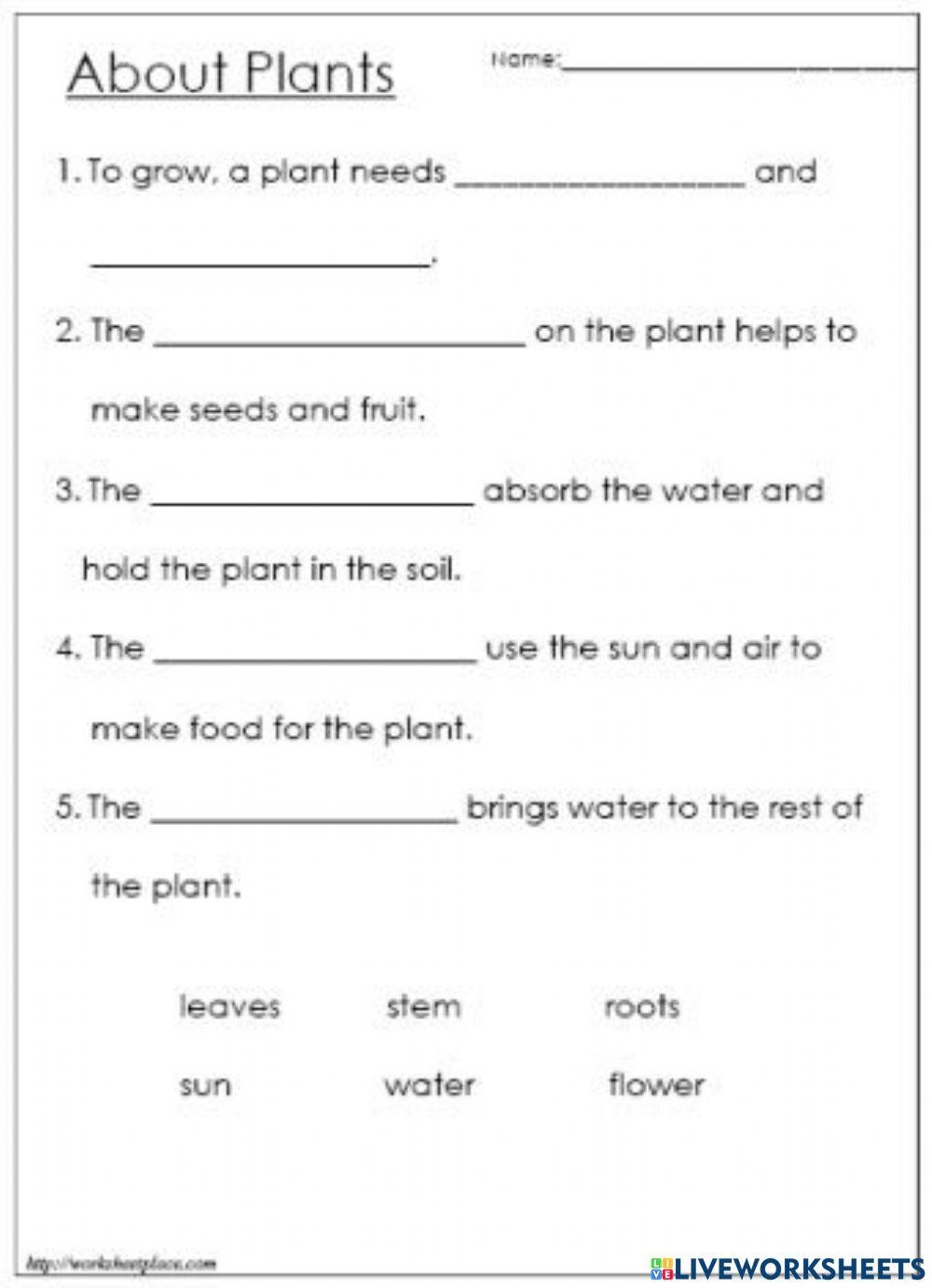 Plants Online Exercise For Grade 3 Worksheets Library Plants Online Exercise For Grade 3 Worksheets Library