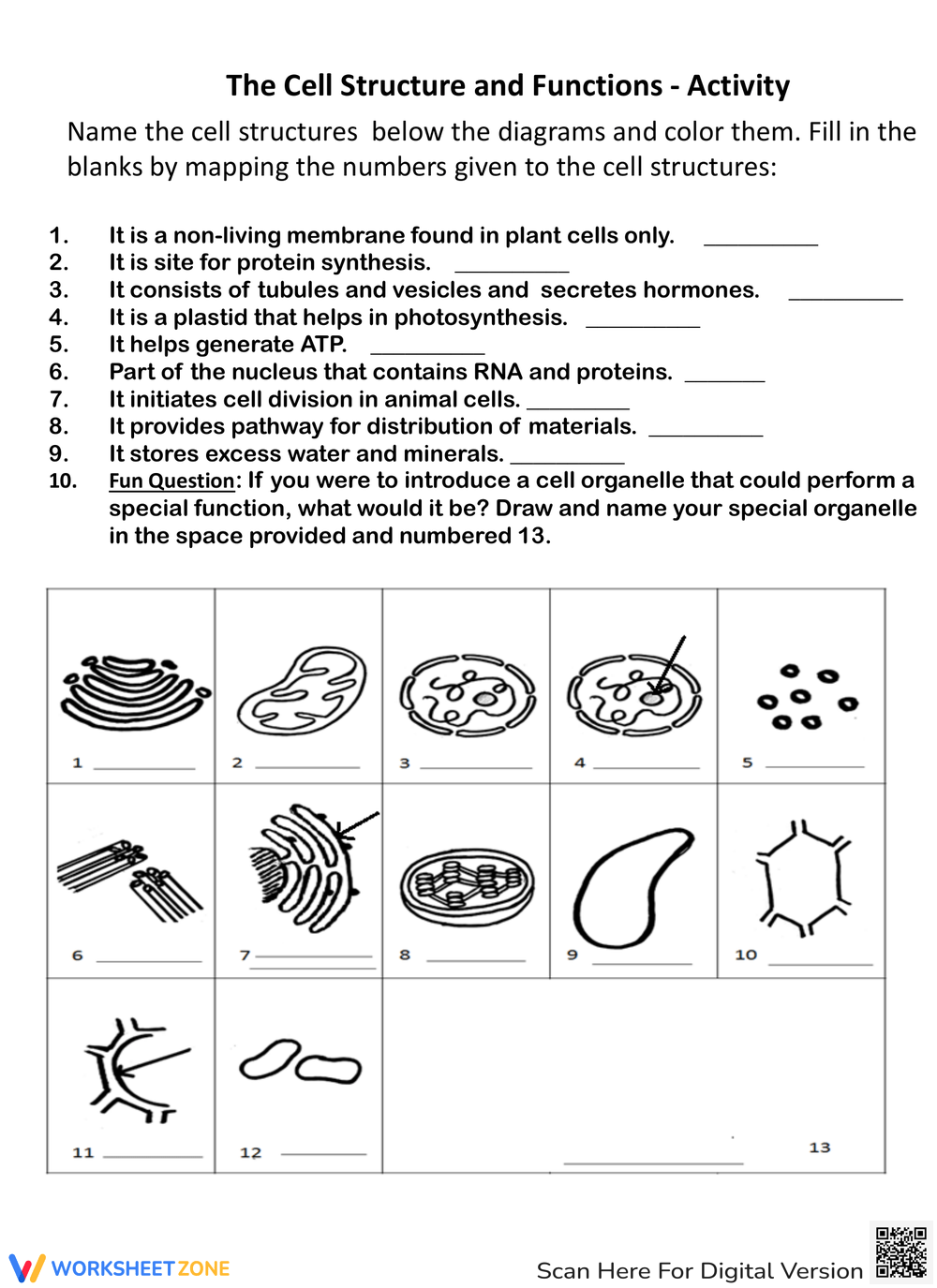 Printable 7th Grade Cell Structure And Function Fill In The Blanks Worksheets