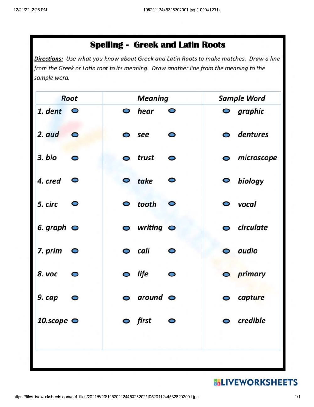 Printable 9th Grade Greek And Latin Roots Worksheets