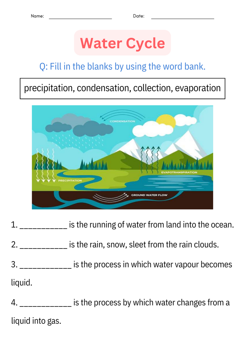 Water Cycle Interactive Activity Worksheets Library
