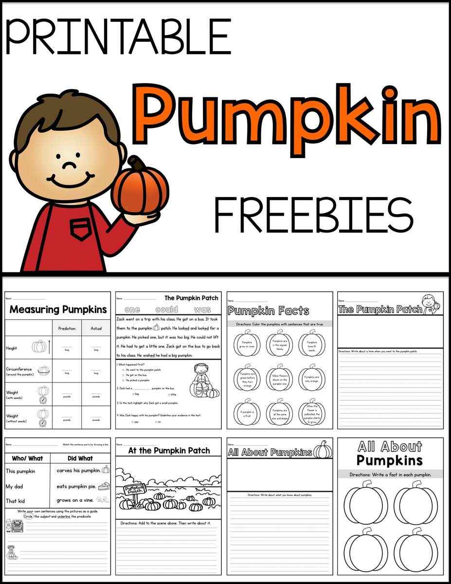 Pumpkin Freebie Update Sarah s Teaching Snippets