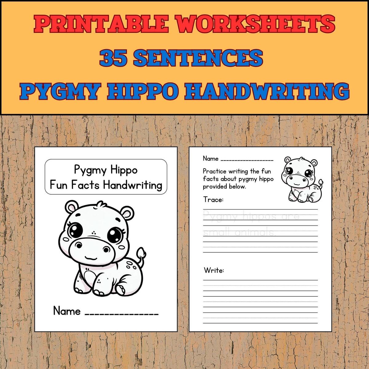 Pygmy Hippo Fun Facts Handwriting Practice Printable Handwriting Practice Sheets Trace And Write Practice Handwriting Gift Etsy
