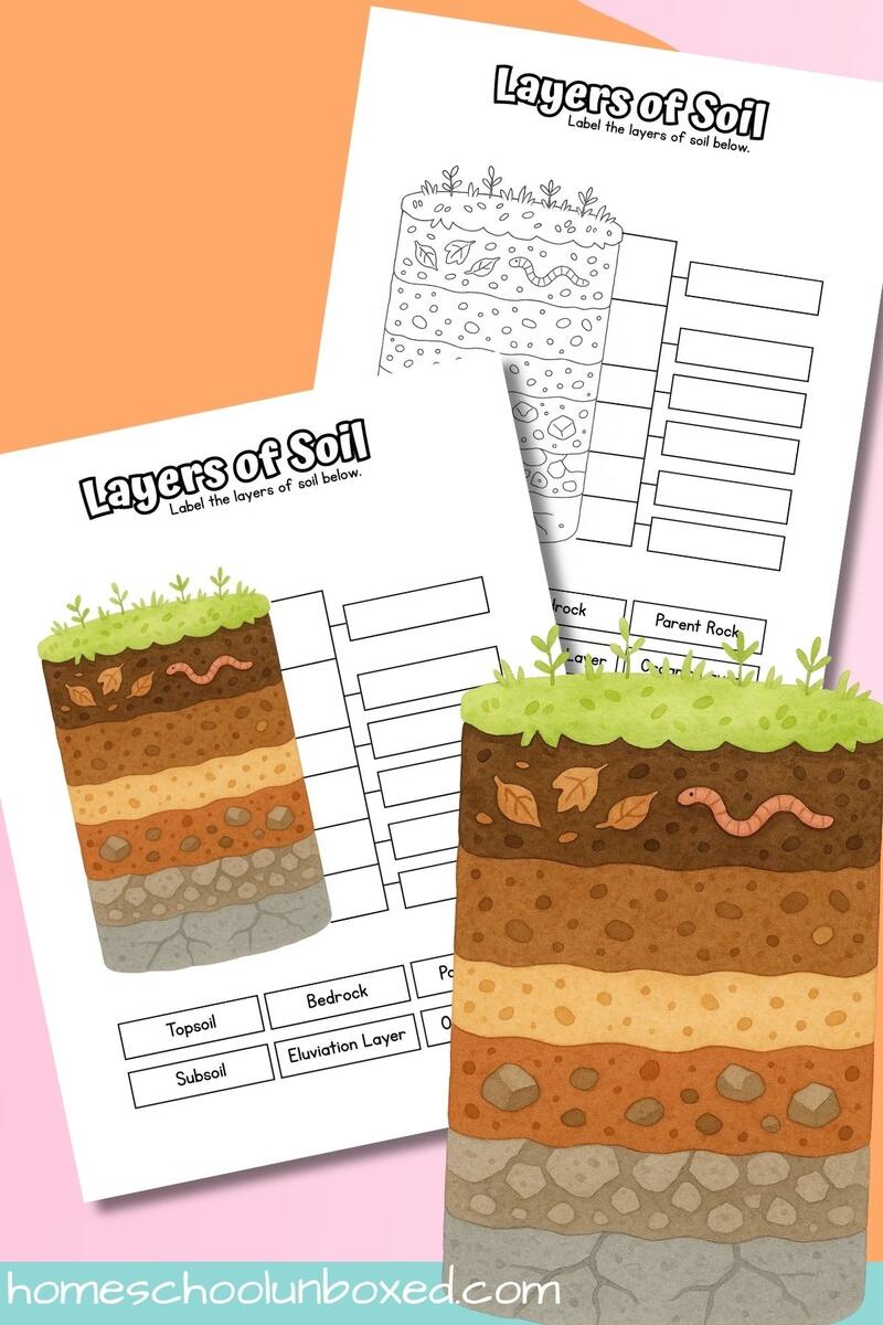 Soil Layers Labeling Worksheet Free Printable