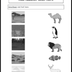 Storyboard That Free Animal Habitat Worksheets