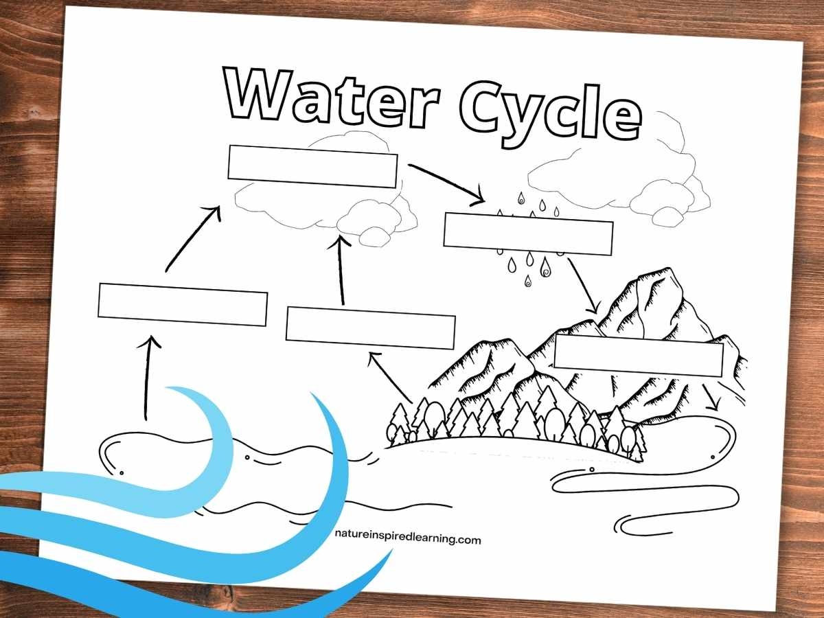 Water Cycle Coloring Pages Nature Inspired Learning