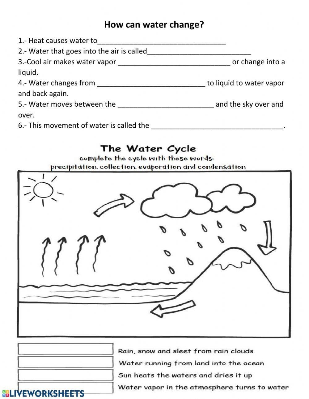Water Cycle Interactive Activity Worksheets Library